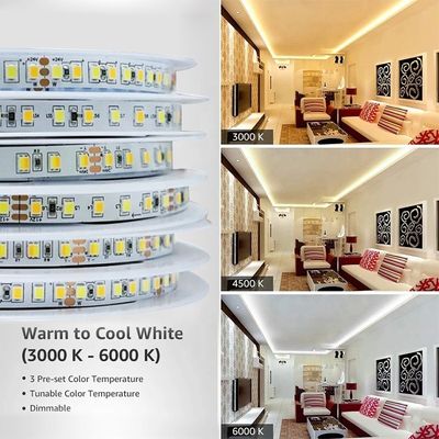 120LEDs/m 3000k 4000k 6500k CCT-карта 8mm SMD2835 Светодиодный светодиодный свет для наружного и внутреннего декора