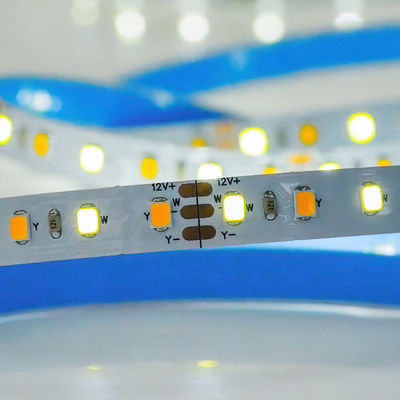 Настраиваемый CCT 12V24V 8mm 120leds 3000K-6500K Теплый бело-белый SMD2835 Светодиодный светодиодный свет
