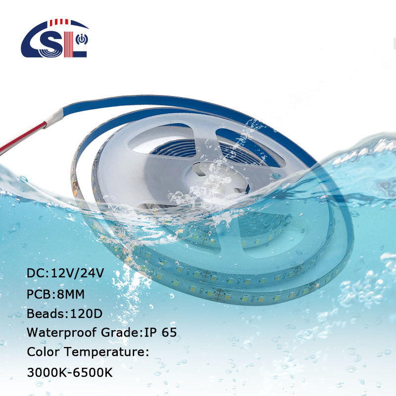 10 мм 240LEDs 3000K-6500K CCT водонепроницаемый ip65 двойной цвет SMD2835 Led Strip Light 12v24v